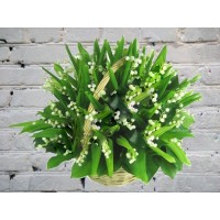 Букет из 51 ландыша в корзине
