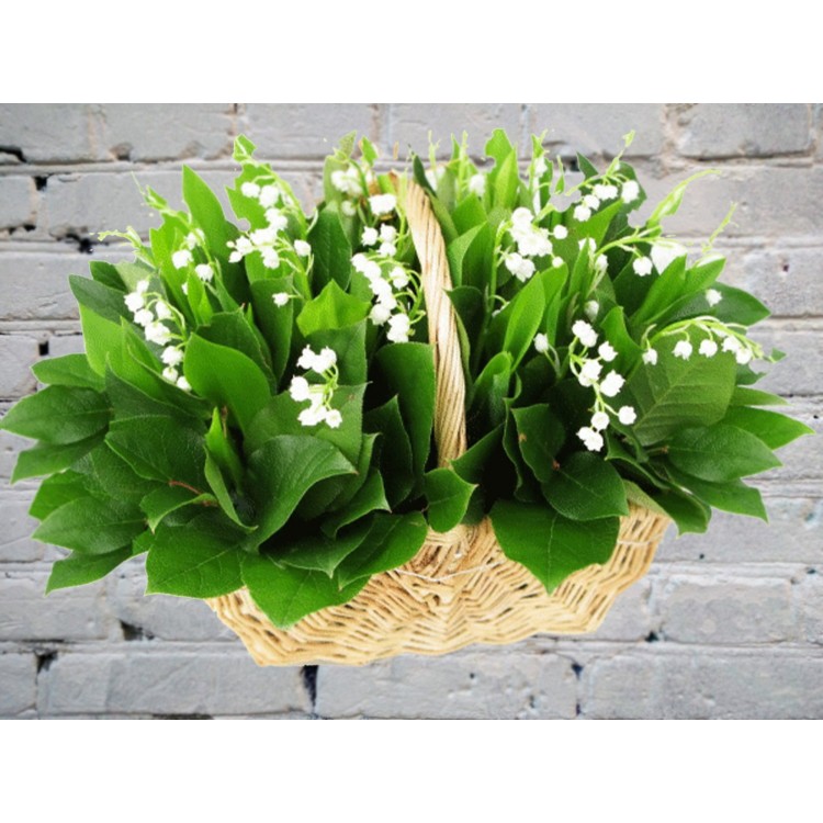 Корзина из 49 ландышей
