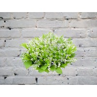 Букет из Ландышей в Белой Атласной Ленте
