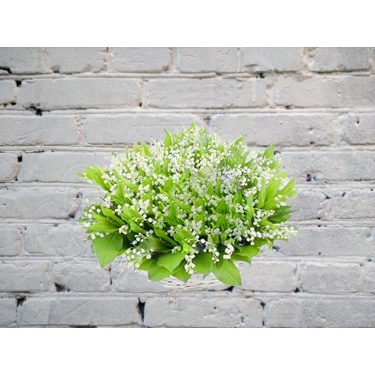 Букет из Ландышей в Белой Атласной Ленте
