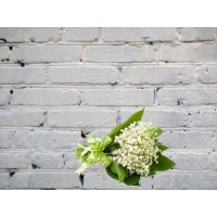 Букет из 51 ландыша
