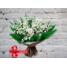 Sale Bouquet of Lilies of the Valley in a Package with Greenery