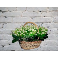 Букет из 151 ландыша в корзине
