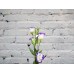 Sale Lisianthus white-violet (eustoma)