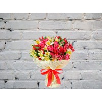Bouquet of Delicate Alstroemeria
