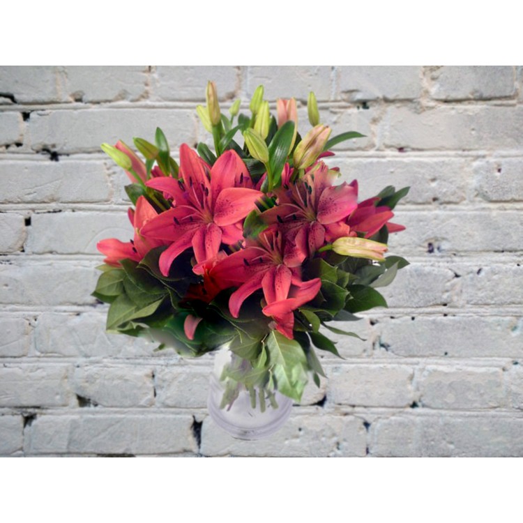 Sale Bouquet of 5 red lilies
