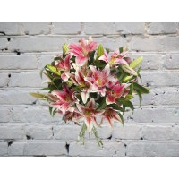 Bouquet of 9 pink lilies
