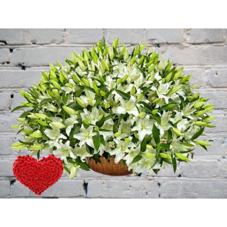 Sale Basket of 101 Lilies
