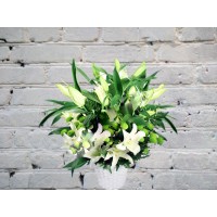Basket with White Lilies and Chrysanthemums
