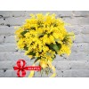 Букет Мимозы
