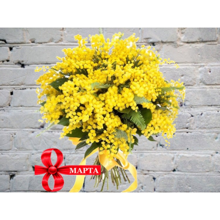 Sale Bouquet of Mimosa
Sale Bouquet of Mimosa