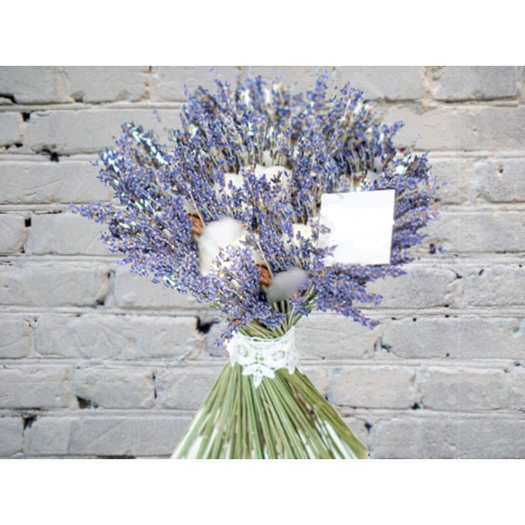 Sale Bouquet of dried lavender and cotton flowers
