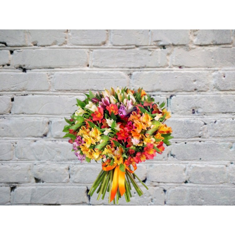 Sale Bouquet of 35 Alstroemeria
