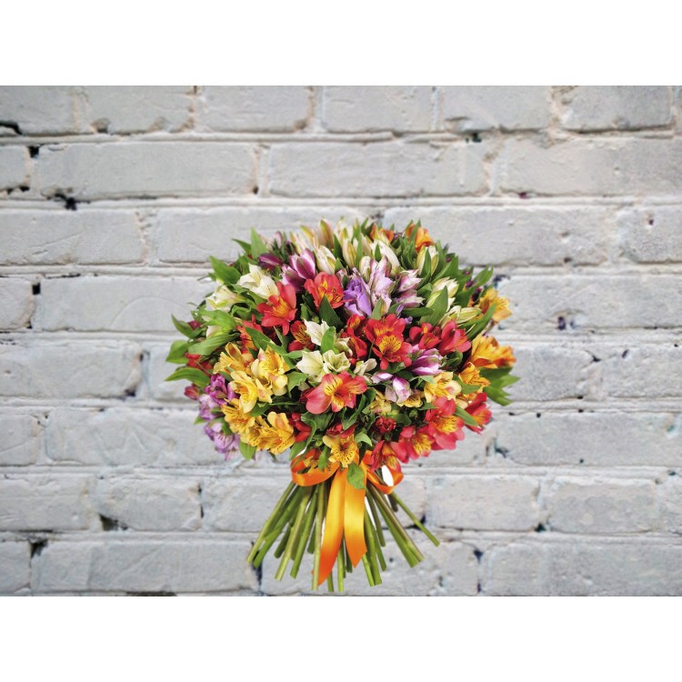 Букет из 51 альстромерии с лентой
