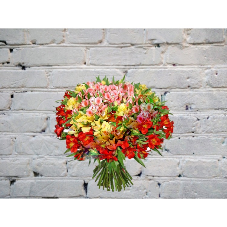 Букет из 51 альстромерии
