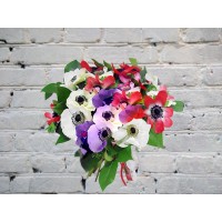 Bouquet Of Colorful Anemones
