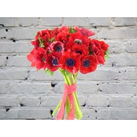 Bouquet of Red Anemones in a Pink Ribbon

