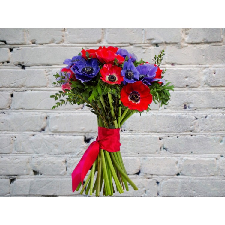 Sale Bouquet of Blue and Red Anemones with Greenery

