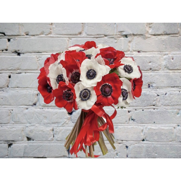 Sale Bouquet of Red and White Anemones in a Satin Ribbon
