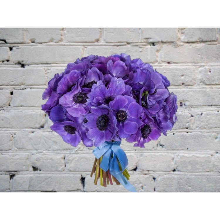 Sale Bouquet Of Velvet Blue Anemones

