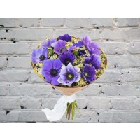 Bouquet of Purple Anemones with Matricaria
