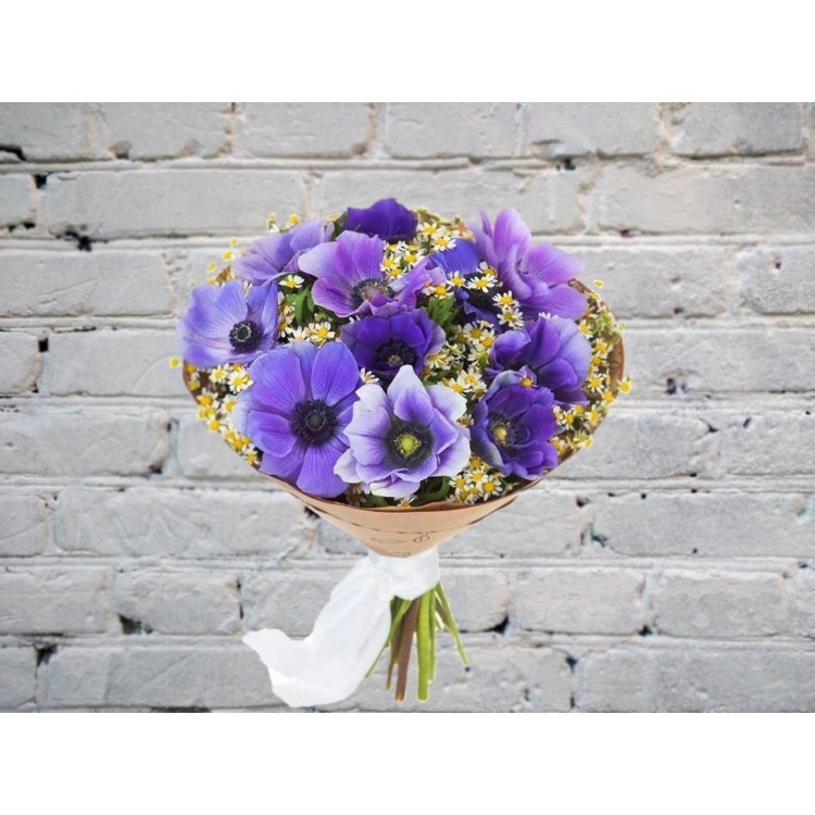 Sale Bouquet of Purple Anemones with Matricaria
Sale Bouquet of Purple Anemones with Matricaria