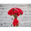 Монобукет Красных Анемонов
