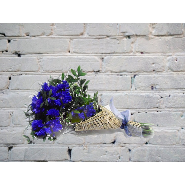 Sale Bouquet of 15 cornflowers
Sale Bouquet of 15 cornflowers
