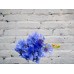 Sale Bouquet of blue cornflowers