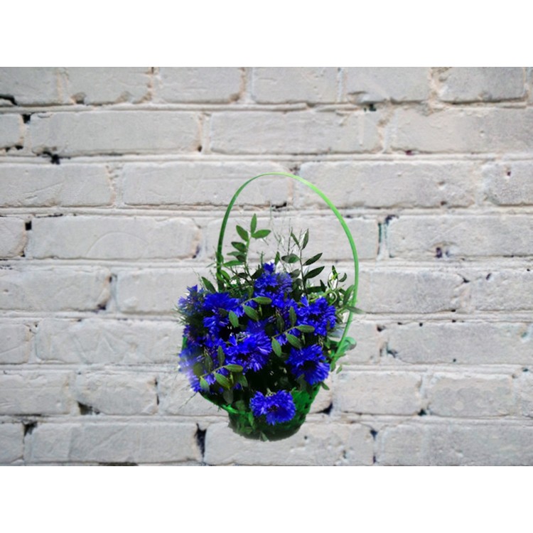 Sale Bouquet with cornflowers in a basket
Sale Bouquet with cornflowers in a basket
