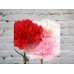 Sale Carnation