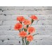 Sale Orange bush carnation