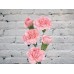 Sale Pink bush carnation