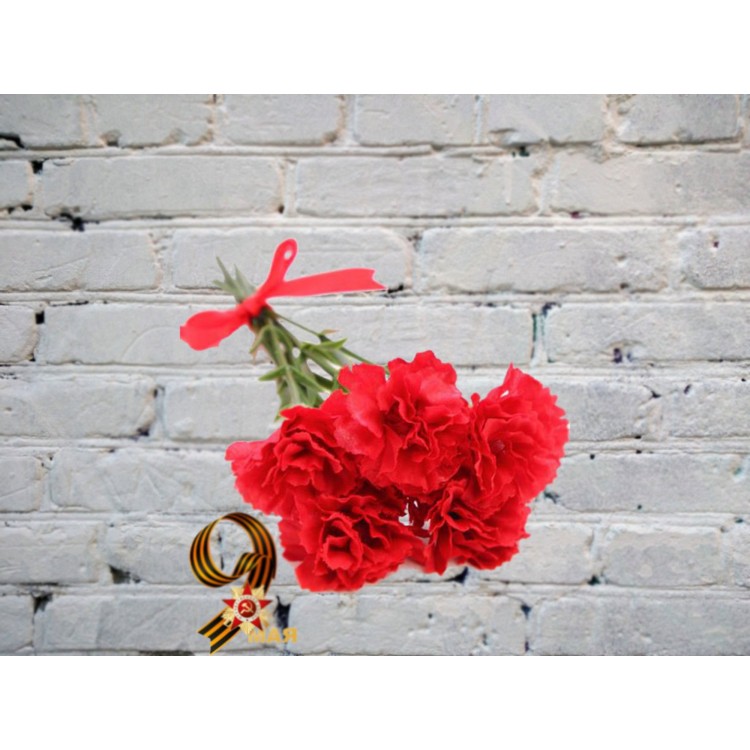 Sale Bouquet Of Red Carnations
Sale Bouquet Of Red Carnations