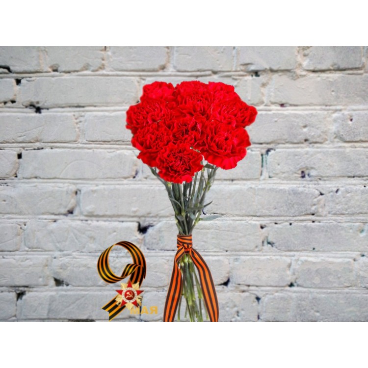 Sale Bouquet of Red Carnations in a Ribbon
Sale Bouquet of Red Carnations in a Ribbon