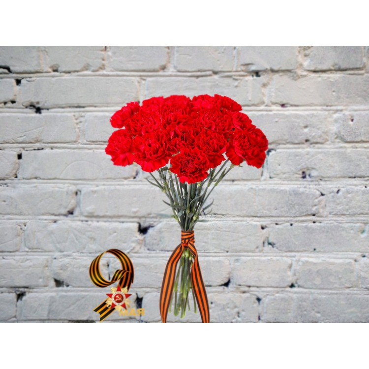 Sale Bouquet of Red Carnations in a Ribbon
