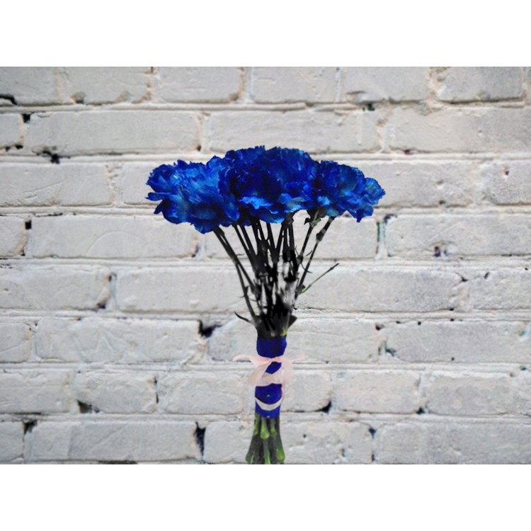 Sale Bouquet of 13 blue carnations
