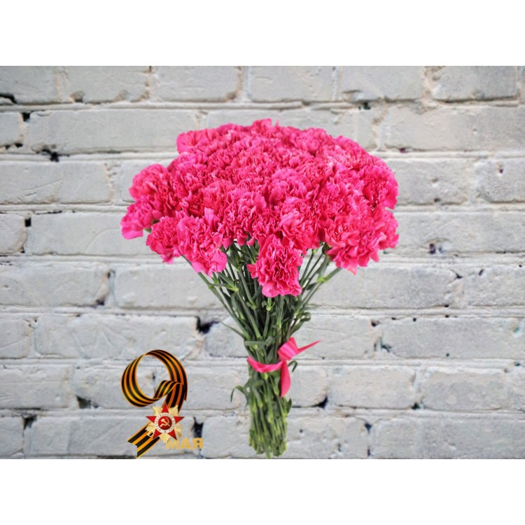 Букет Ярко-Розовых Гвоздик в Атласной Ленте

