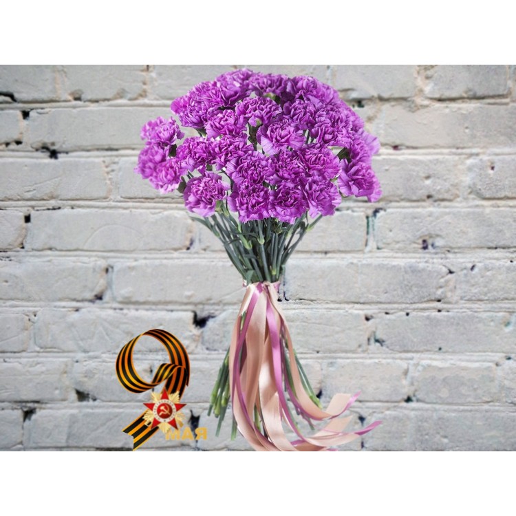Букет Сиреневых Гвоздик
