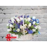 Корзина с Гиацинтами и Белыми Тюльпанами
