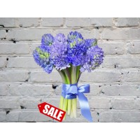 Bouquet of Fragrant Hyacinths in a Satin ribbon
Bouquet of Fragrant Hyacinths in a Satin ribbon