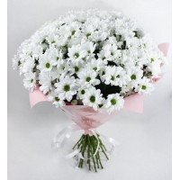 Bouquet of 9 Bacardi bush chrysanthemums