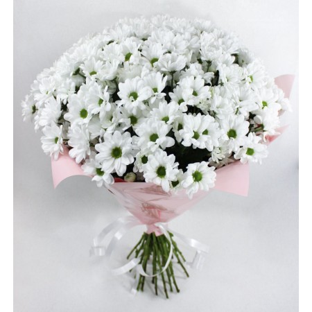 Bouquet of 9 Bacardi bush chrysanthemums