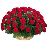 Корзина 101 красная роза