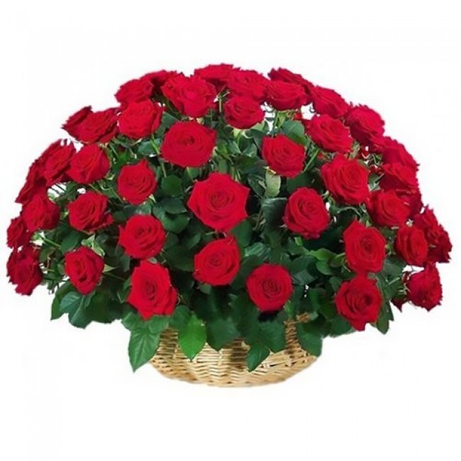 Basket of 101 Roses