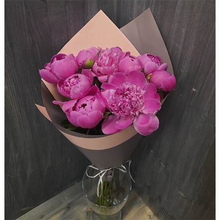 Купить 11 розовых пионов в СПб