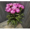 15 pink peonies
15 pink peonies