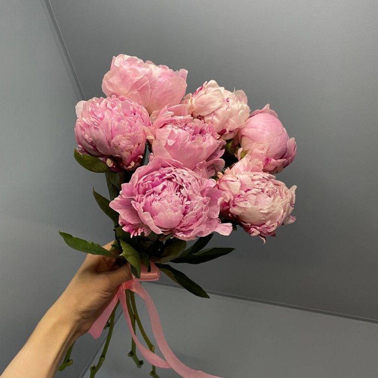 7 пионов Sarah Bernhardt