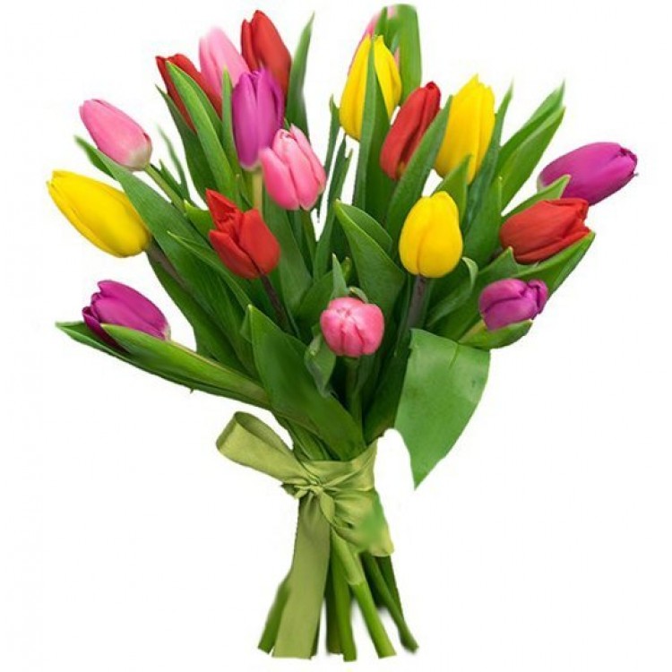 Sale 15 tulips mix Sale 15 tulips mix