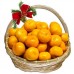 Sale Basket with tangerines Rogue